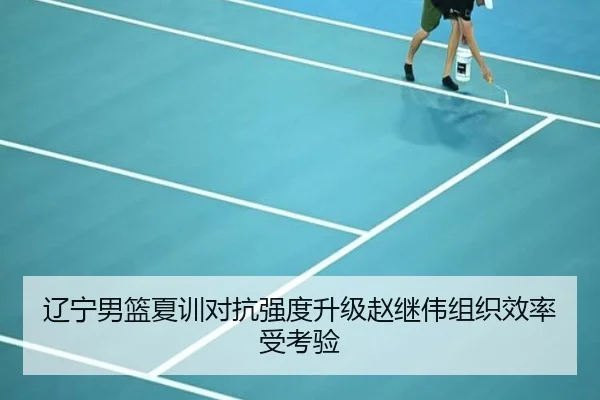 辽宁男篮夏训对抗强度升级赵继伟组织效率受考验